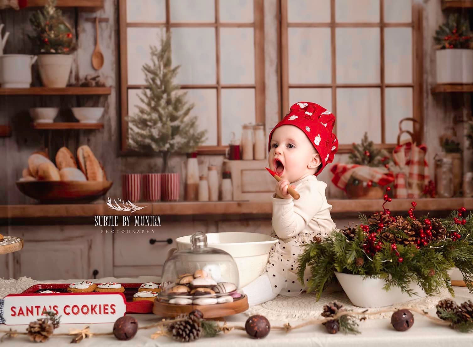Kate White Christmas Kitchen Backdrop Designed by Emetselch - Kate Backdrop AU
