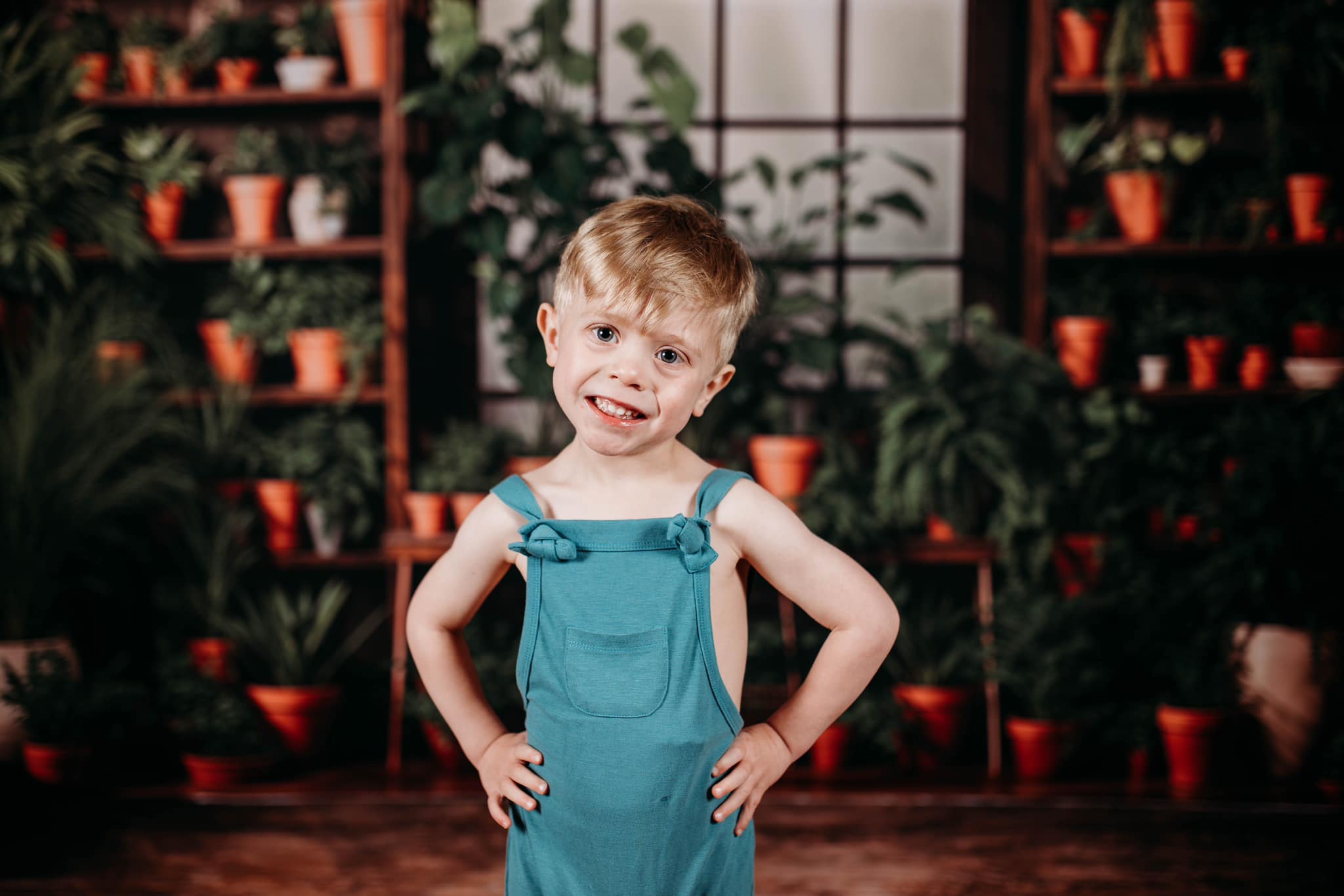 Kate Spring Green Plants Window Backdrop Designed by Emetselch - Kate Backdrop AU