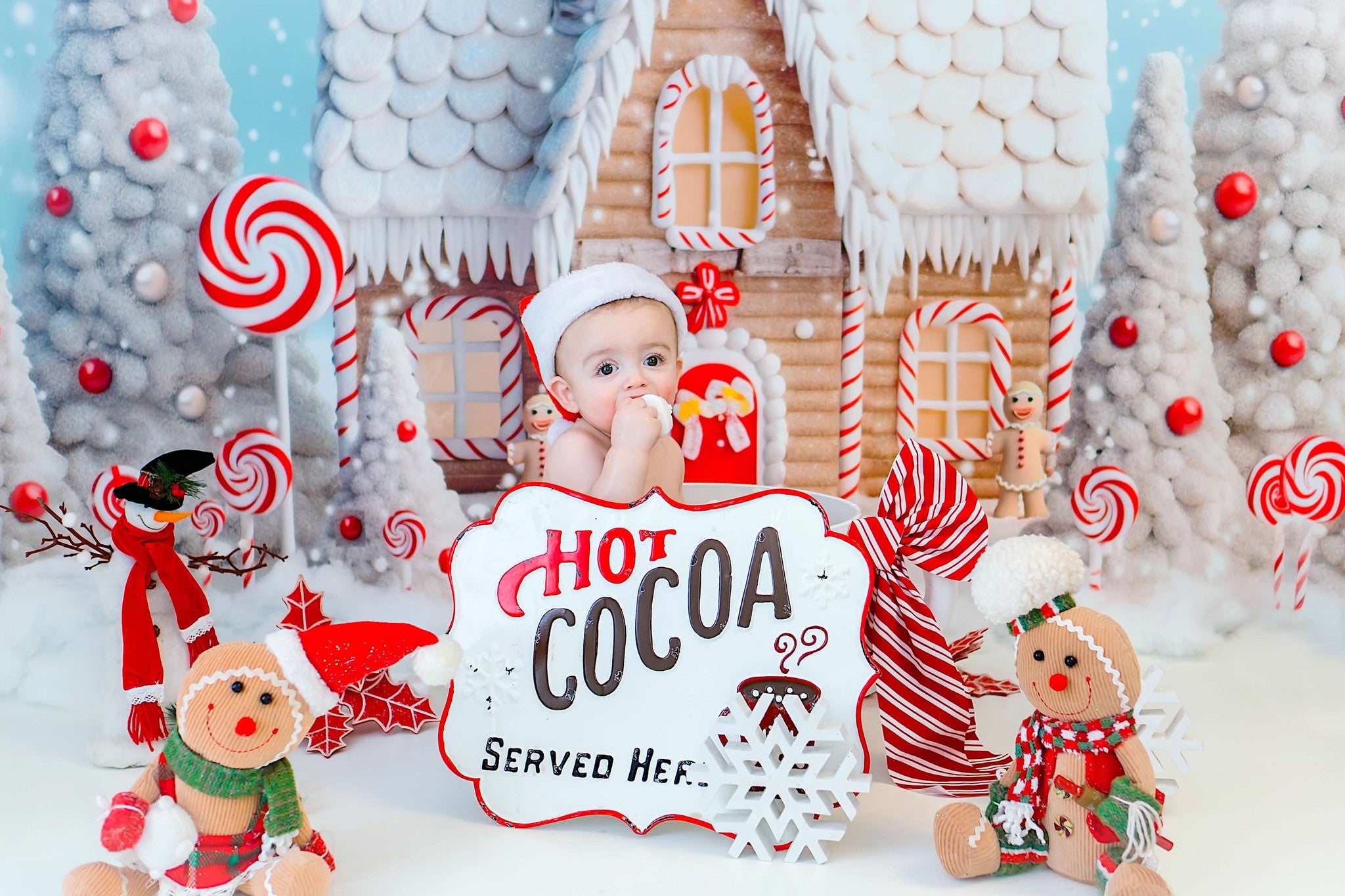 Kate Christmas Candy Backdrop Snow House+Winter Snow Floor Backdrop for Photography