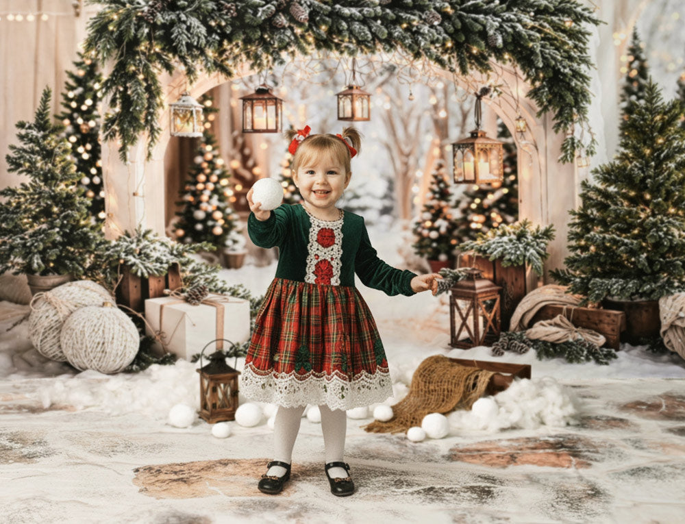Kate Christmas Snow  Arch Backdrop+Stone Texture Floor Backdrop