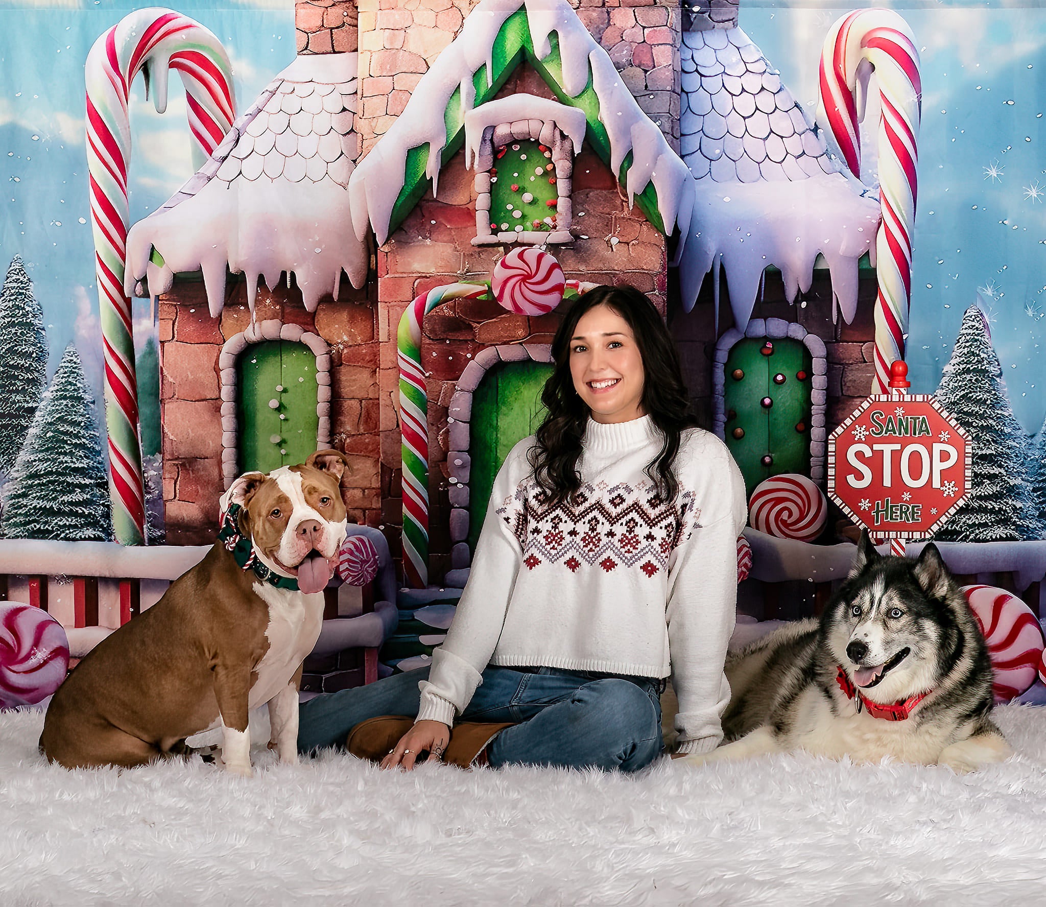 Kate Snow Candy Christmas House Backdrop Designed by Emetselch