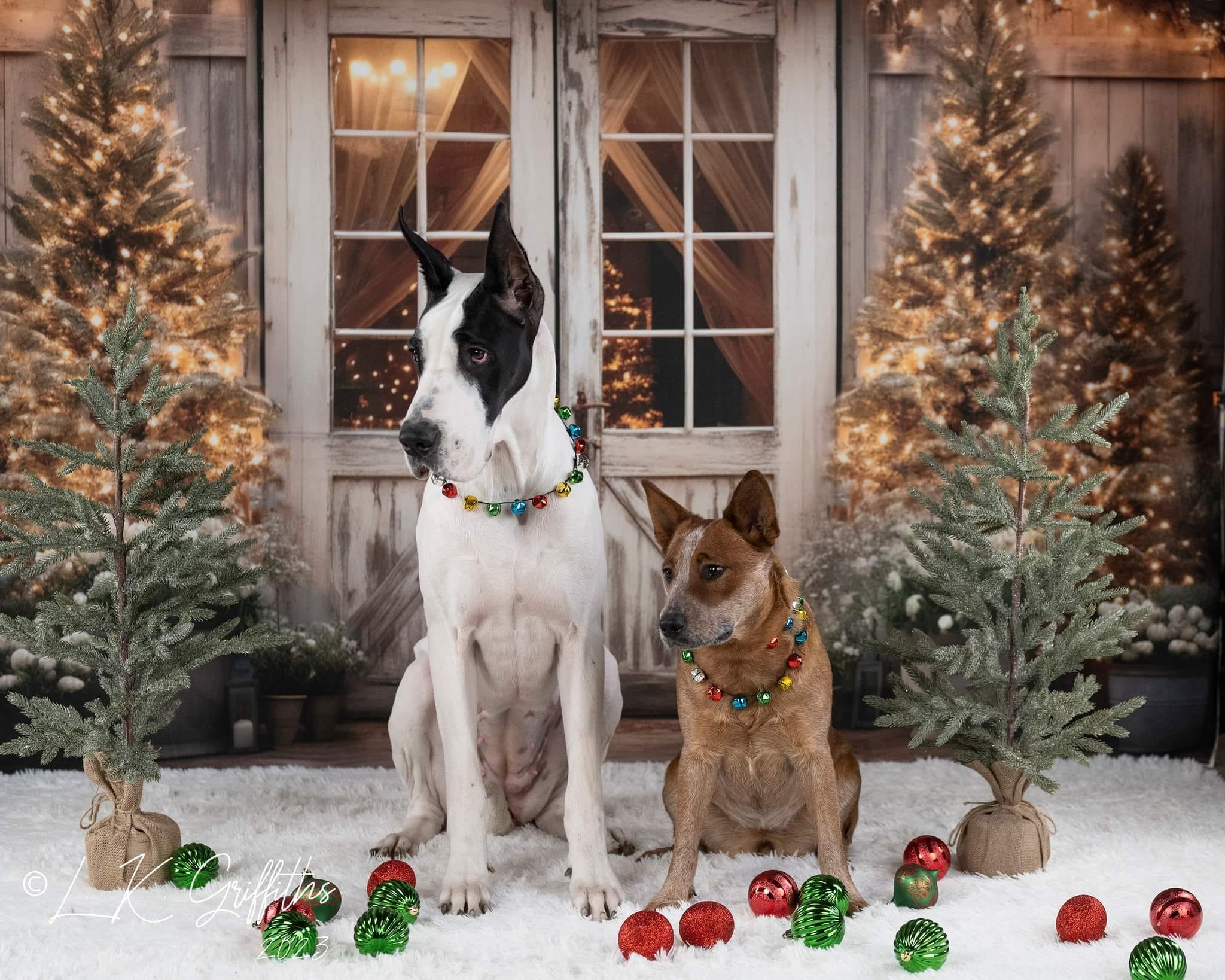 Kate Christmas Barn with Lights and Christmas Tree Backdrop Designed by Emetselch - Kate Backdrop AU