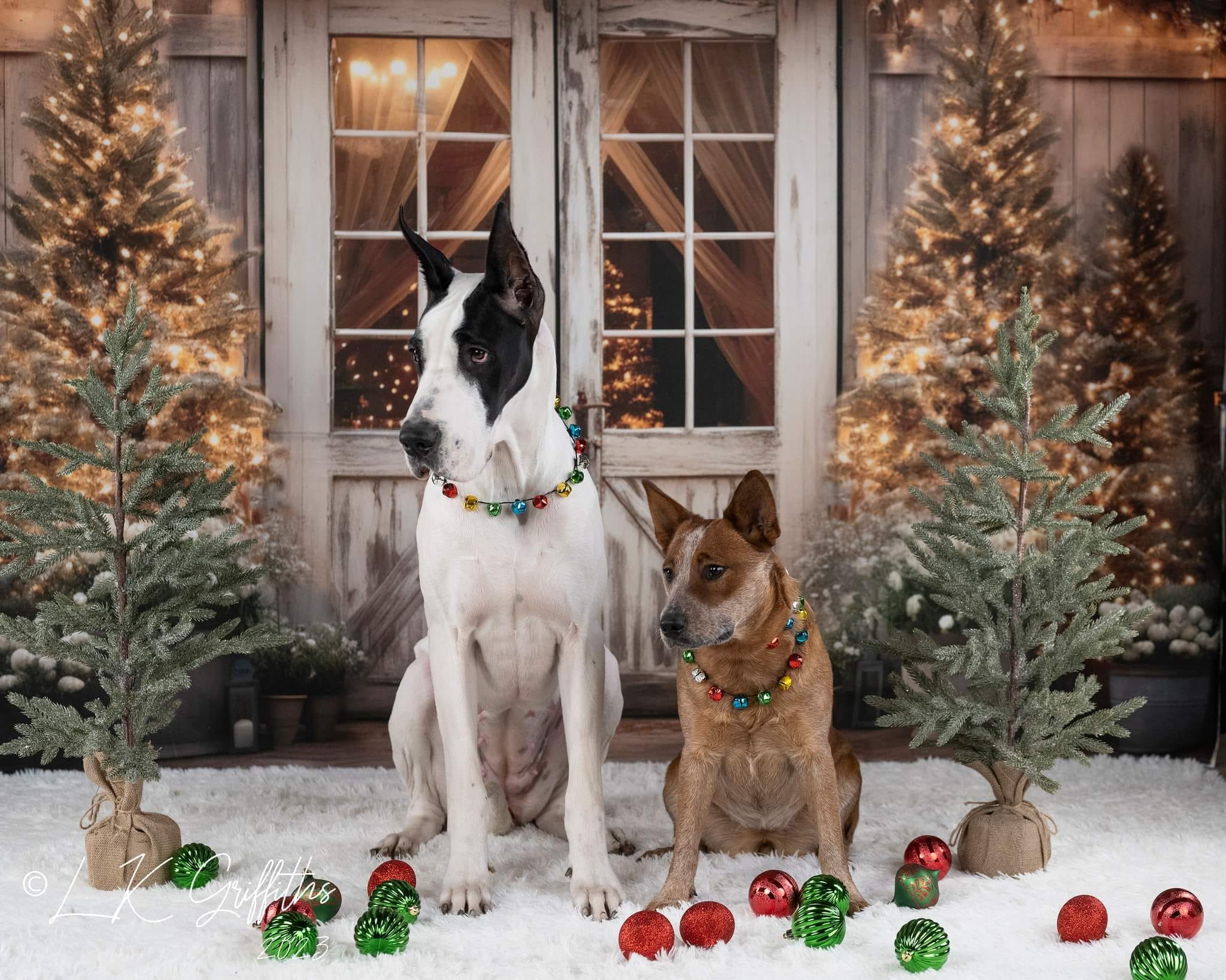 Kate Christmas Barn with Lights and Christmas Tree Backdrop Designed by Emetselch