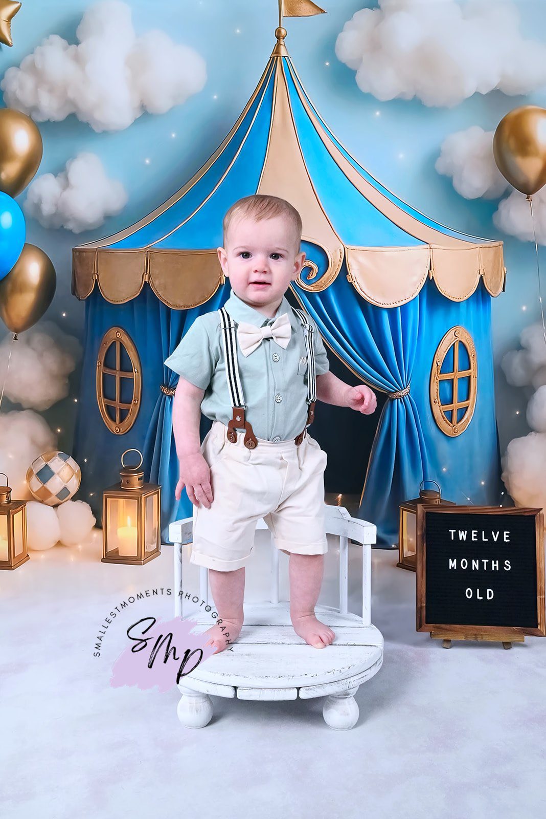 Kate Light Blue Gold Circus Backdrop Designed by Ashley Paul