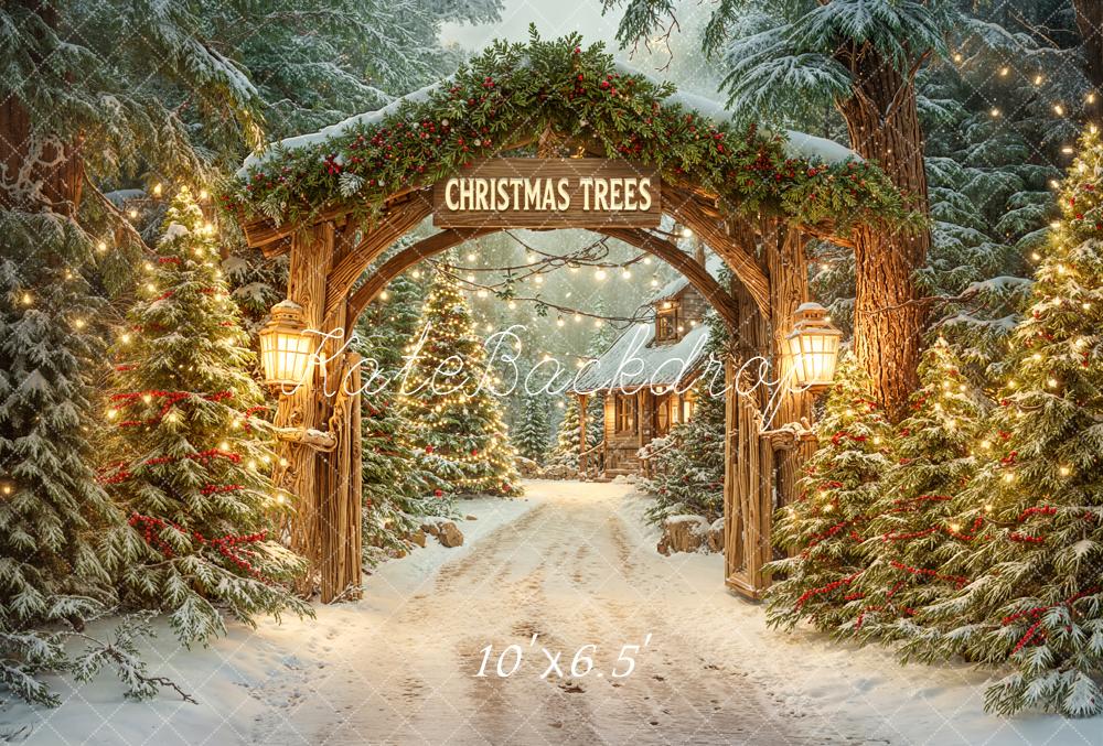 Kate Christmas Archway Snowy Trees Fleece Backdrop Designed by Emetselch