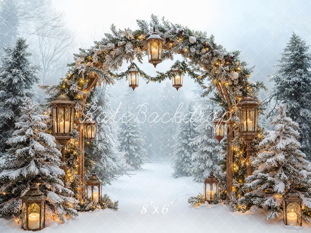Kate Christmas Arch Winter Snow Forest Fleece Backdrop Designed by Emetselch