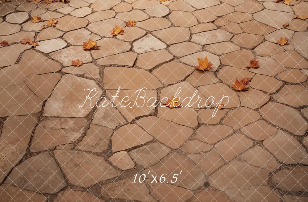 Kate Autumn Leaves Stone Fleece Backdrop Designed by Kate Image