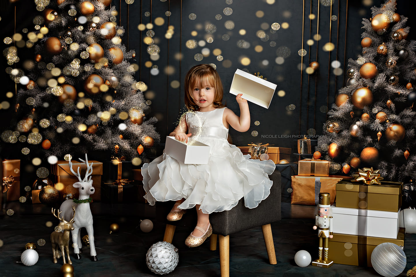 Kate Dark Christmas Tree and Wall Backdrop Designed by Lidia Redekopp - Kate Backdrop AU