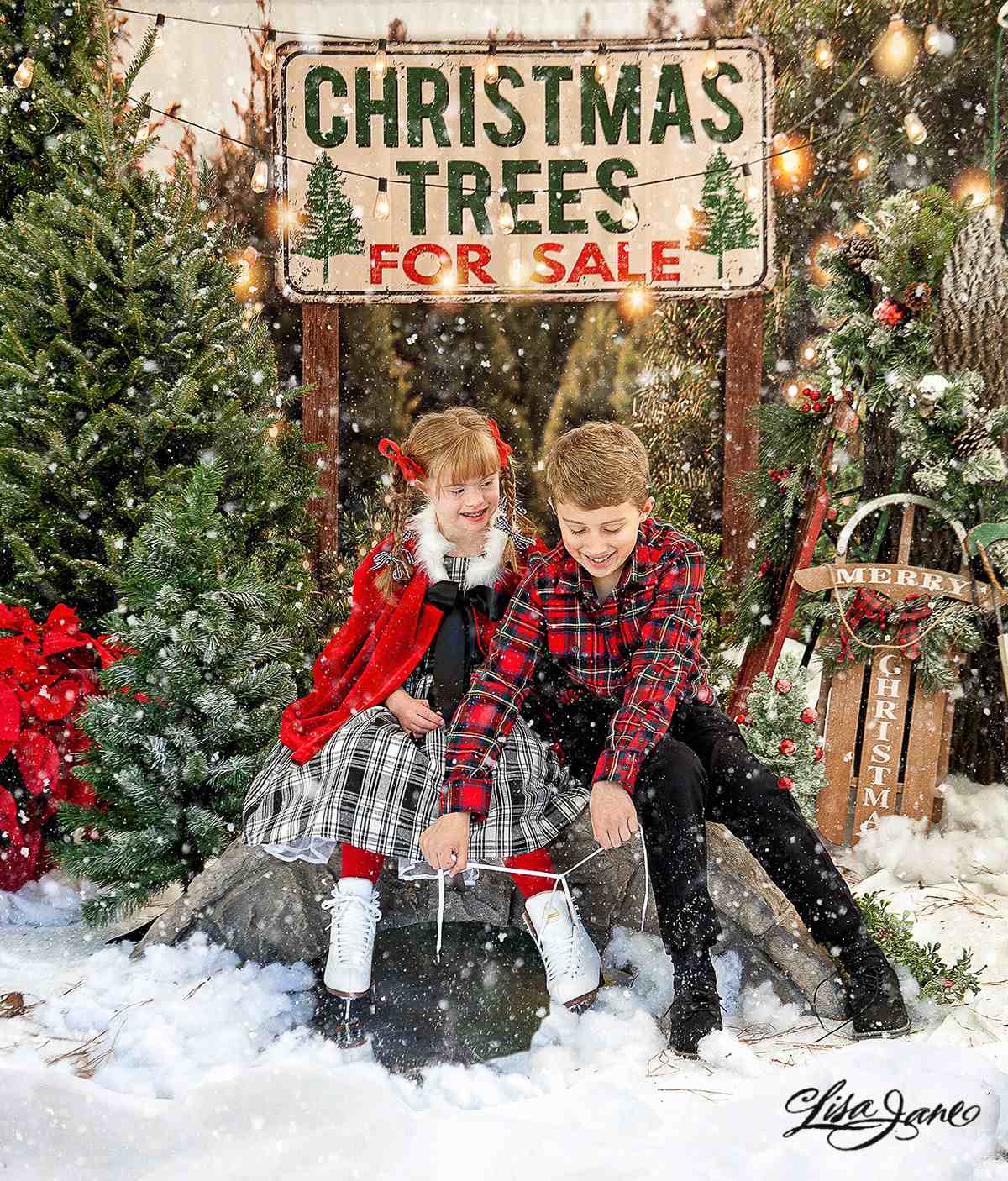 Kate Christmas Tree Backdrop for Photography - Kate Backdrop AU