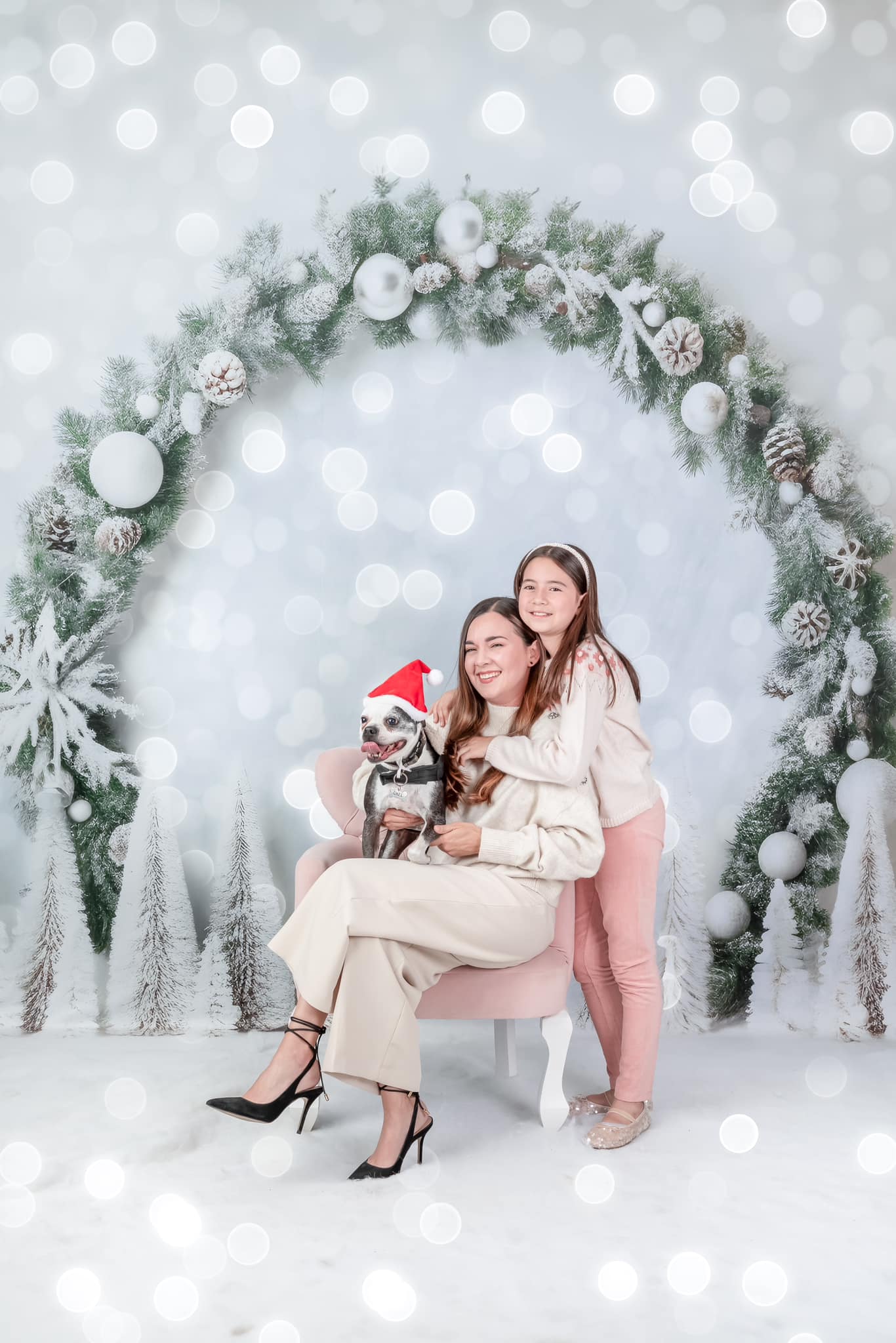 Kate Winter Christmas Arch Backdrop for Photography
