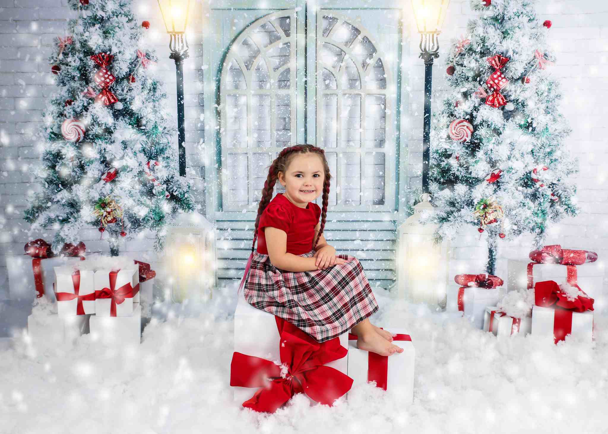 Kate Christmas Snowflake Backdrop Winter Gate Designed by Uta Mueller Photography - Kate Backdrop AU