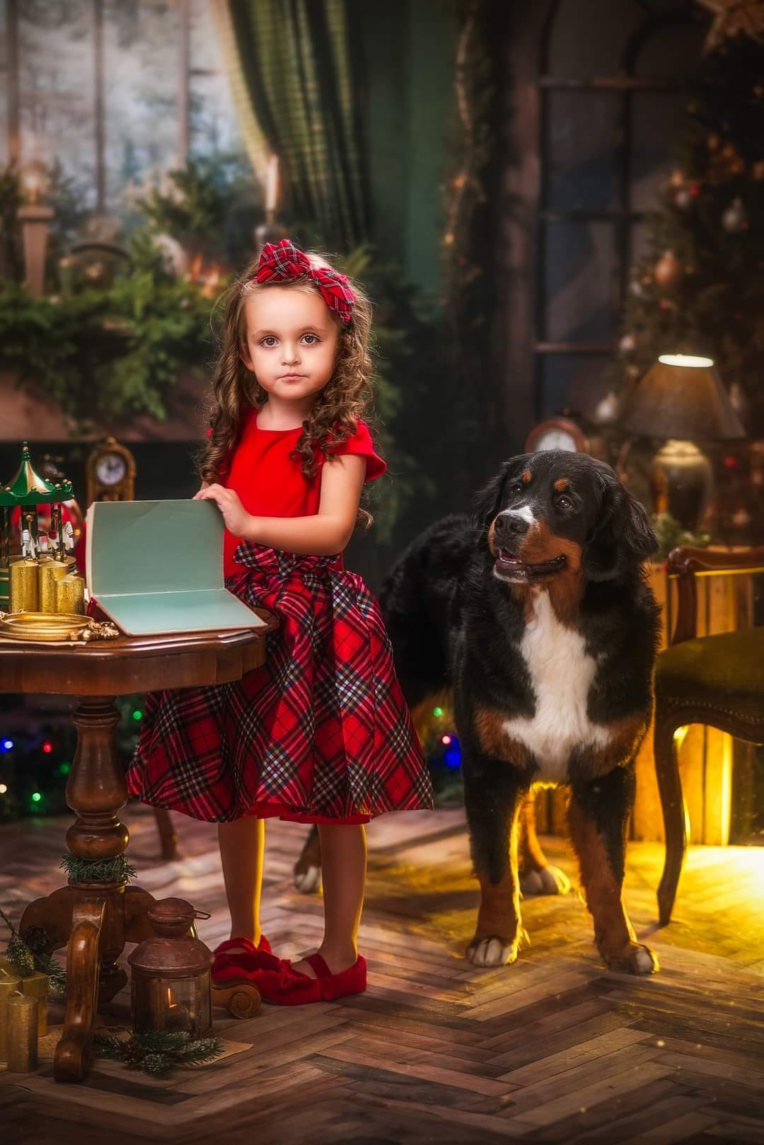 Kate Christmas Green Fireplace Curtain Backdrop Designed by Emetselch