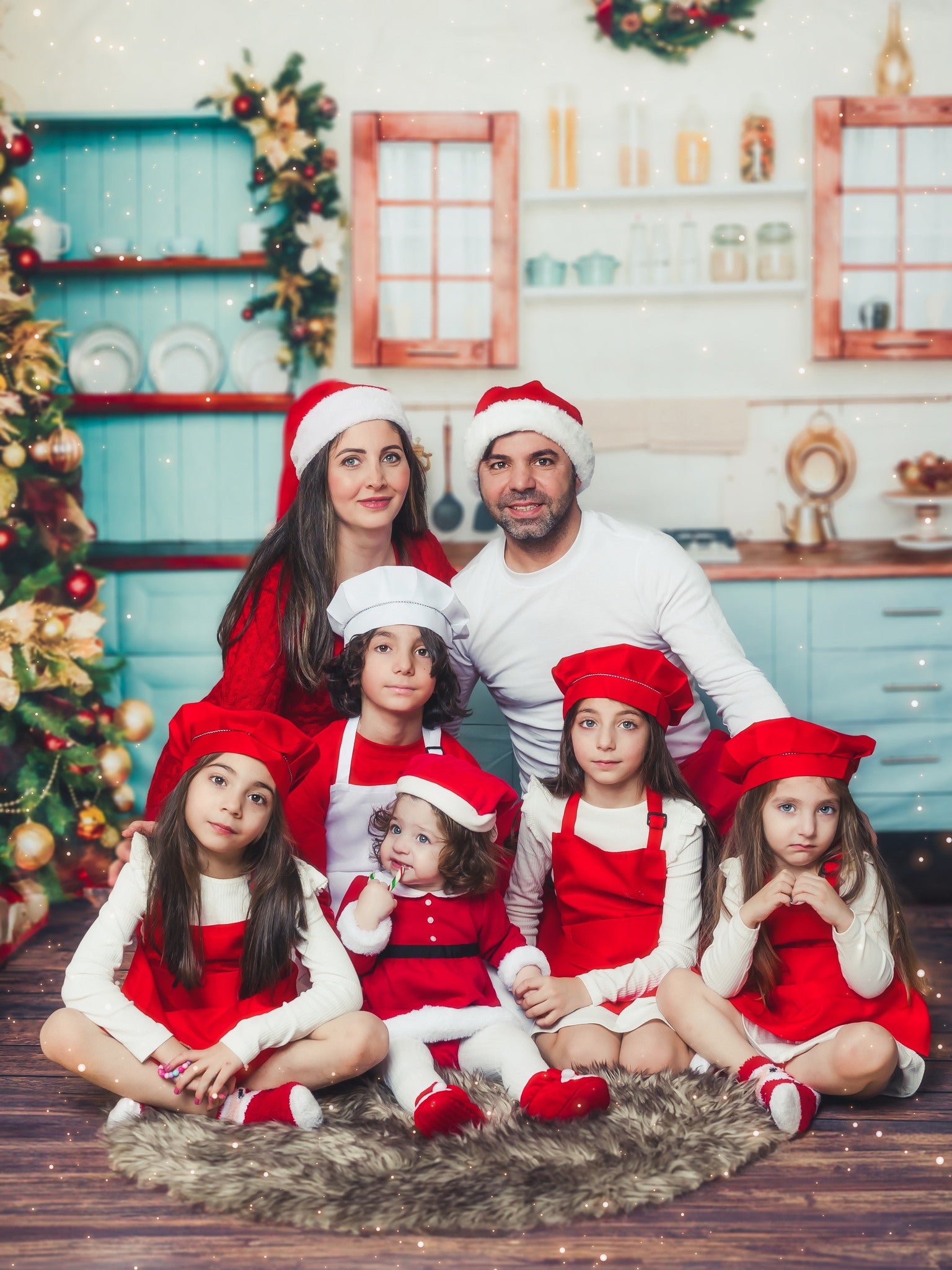 Kate Christmas Kitchen Room Backdrop for Photography