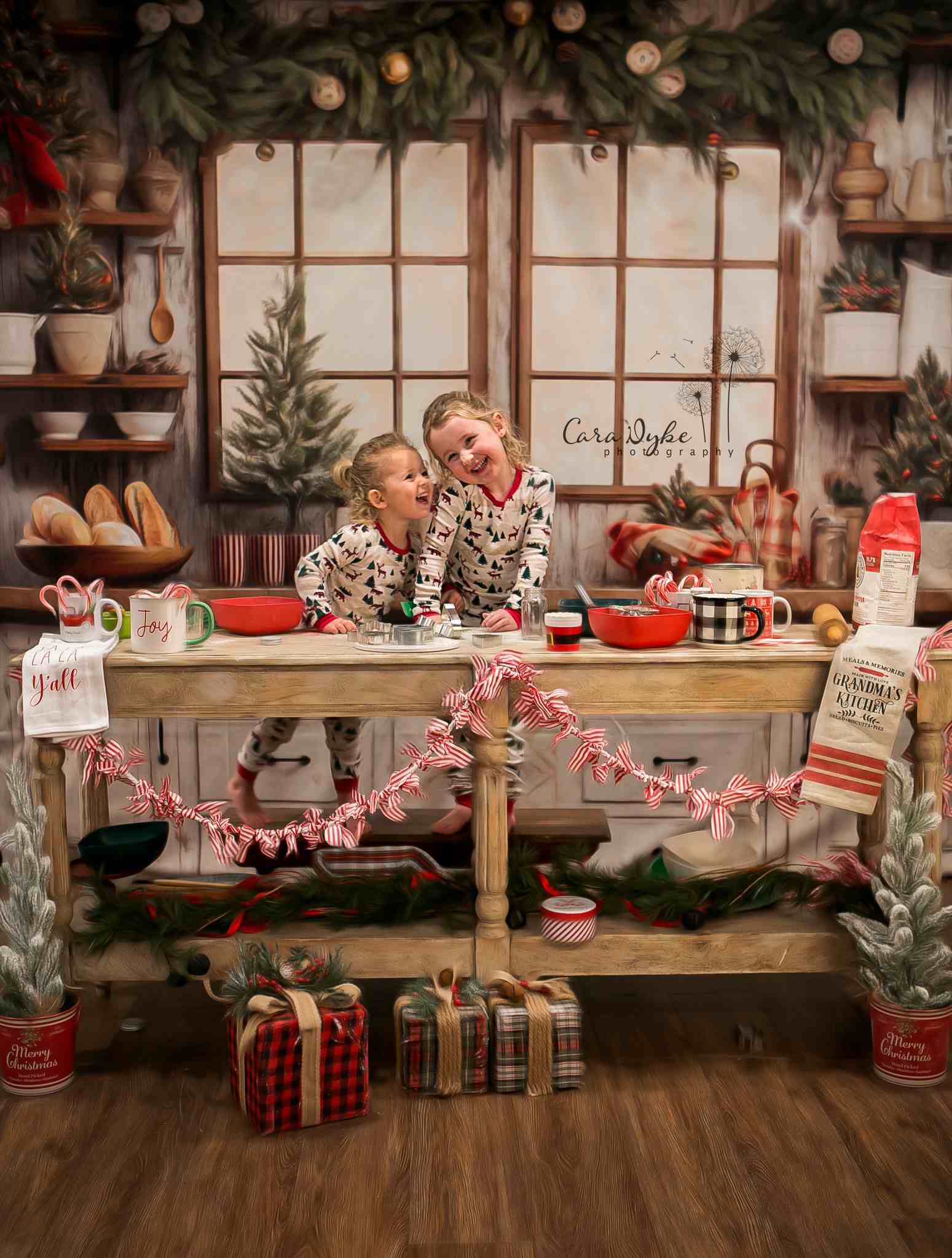 Kate White Christmas Kitchen Backdrop Designed by Emetselch - Kate Backdrop AU