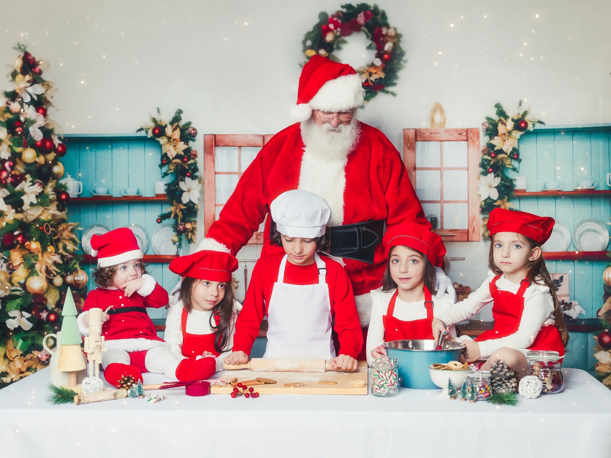 Kate Christmas Kitchen Room Backdrop for Photography