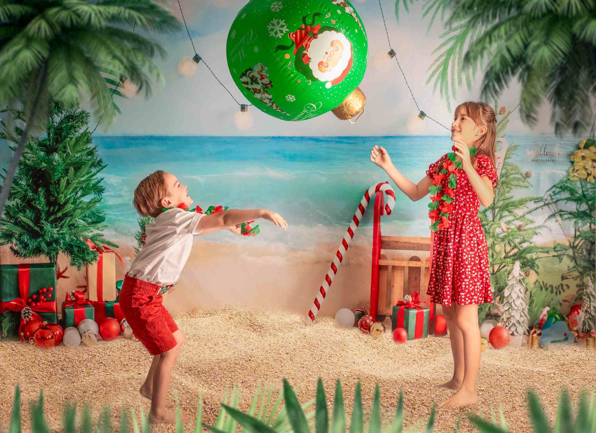 Kate Beach Christmas Backdrop Designed by Emetselch - Kate Backdrop AU