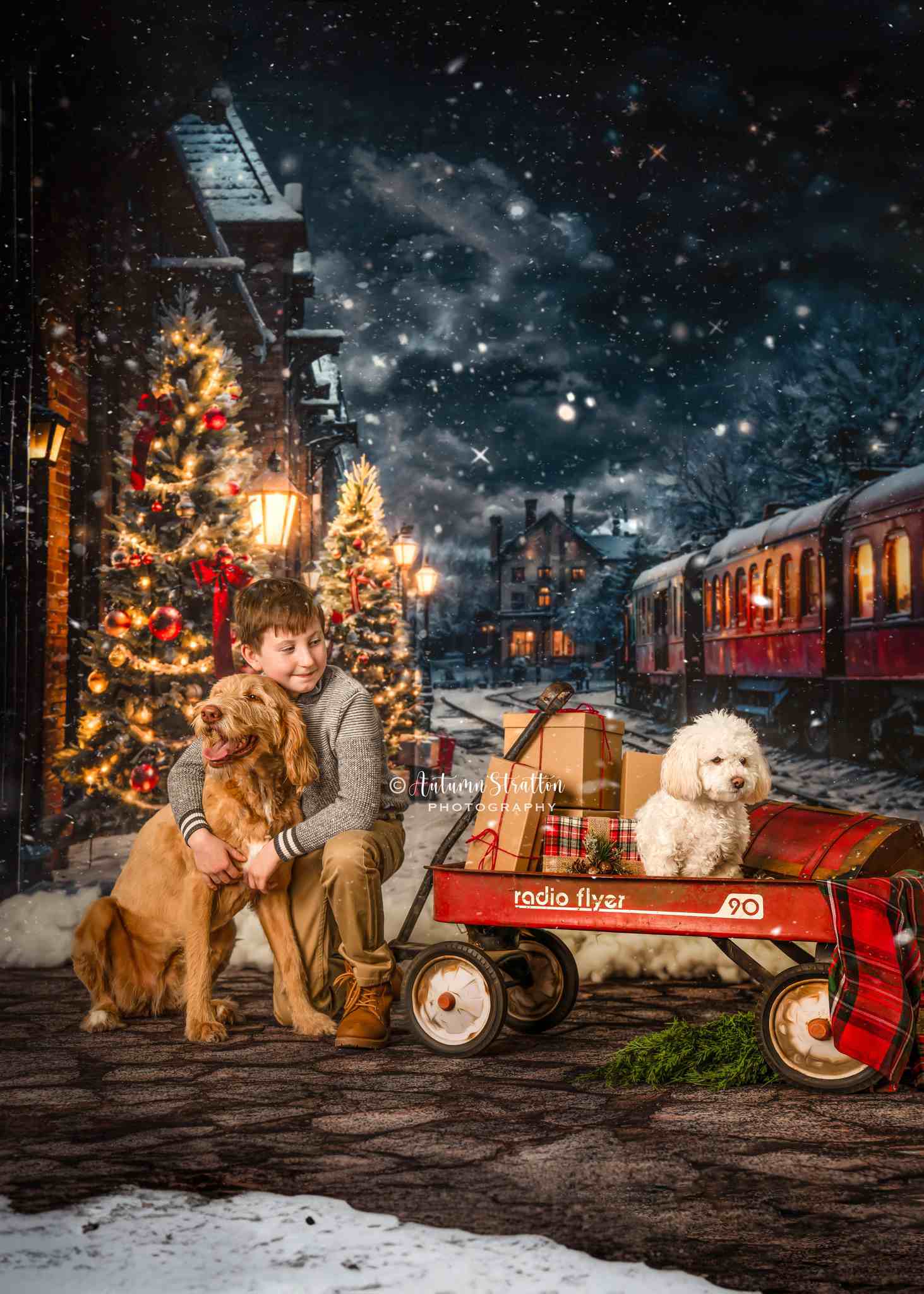 Kate Winter Christmas Tree Train Backdrop Designed by Emetselch - Kate Backdrop AU