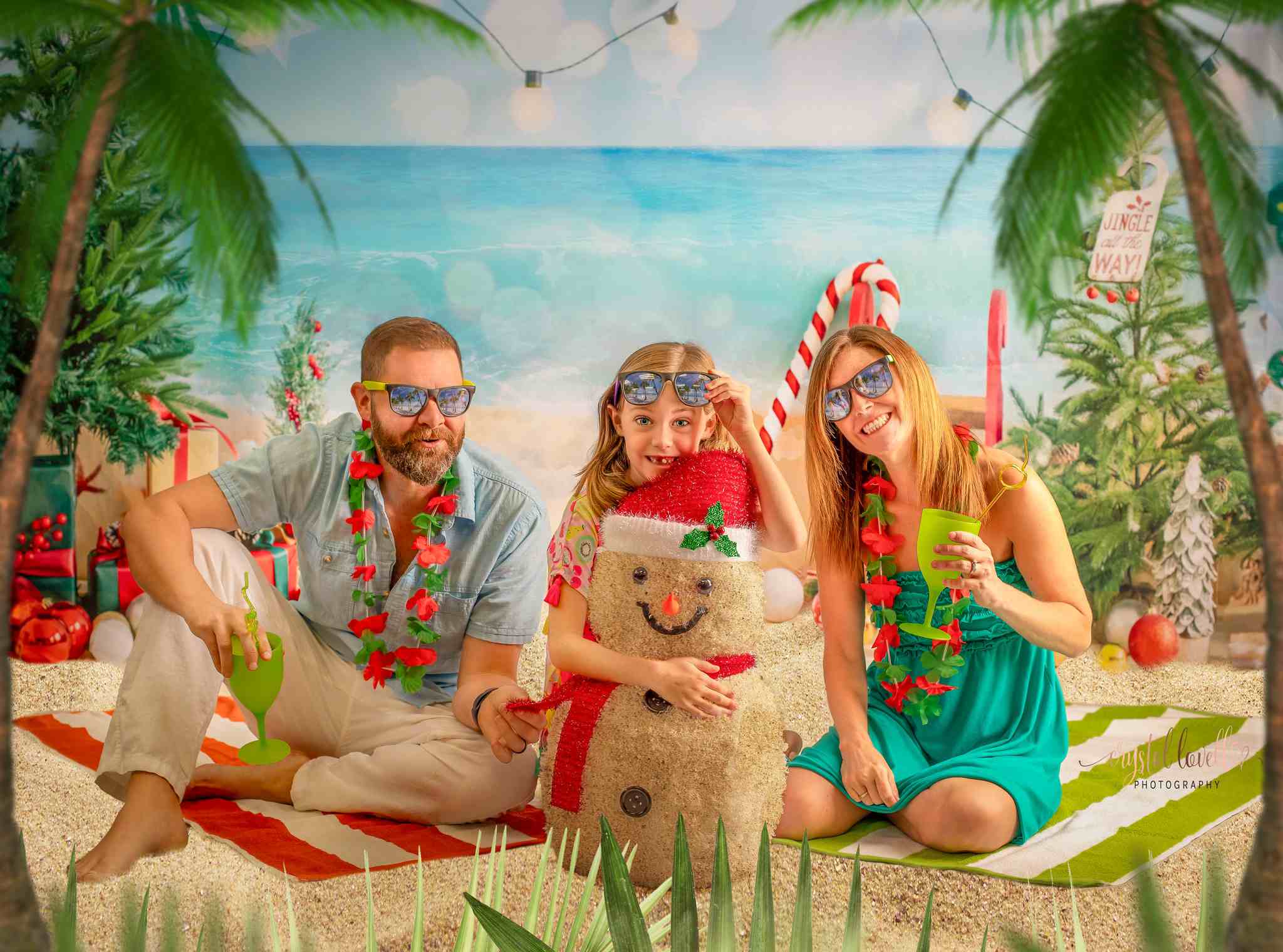 Kate Beach Christmas Backdrop Designed by Emetselch - Kate Backdrop AU
