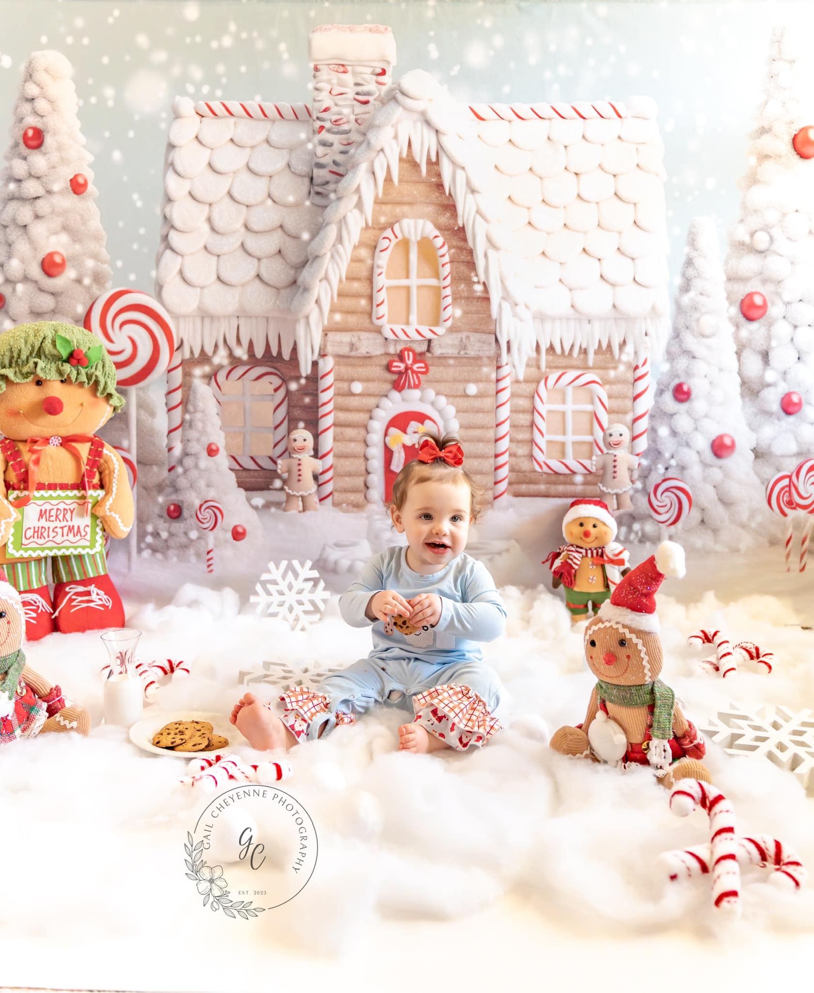 Kate Christmas Candy Backdrop Snow House Designed by Chain Photography