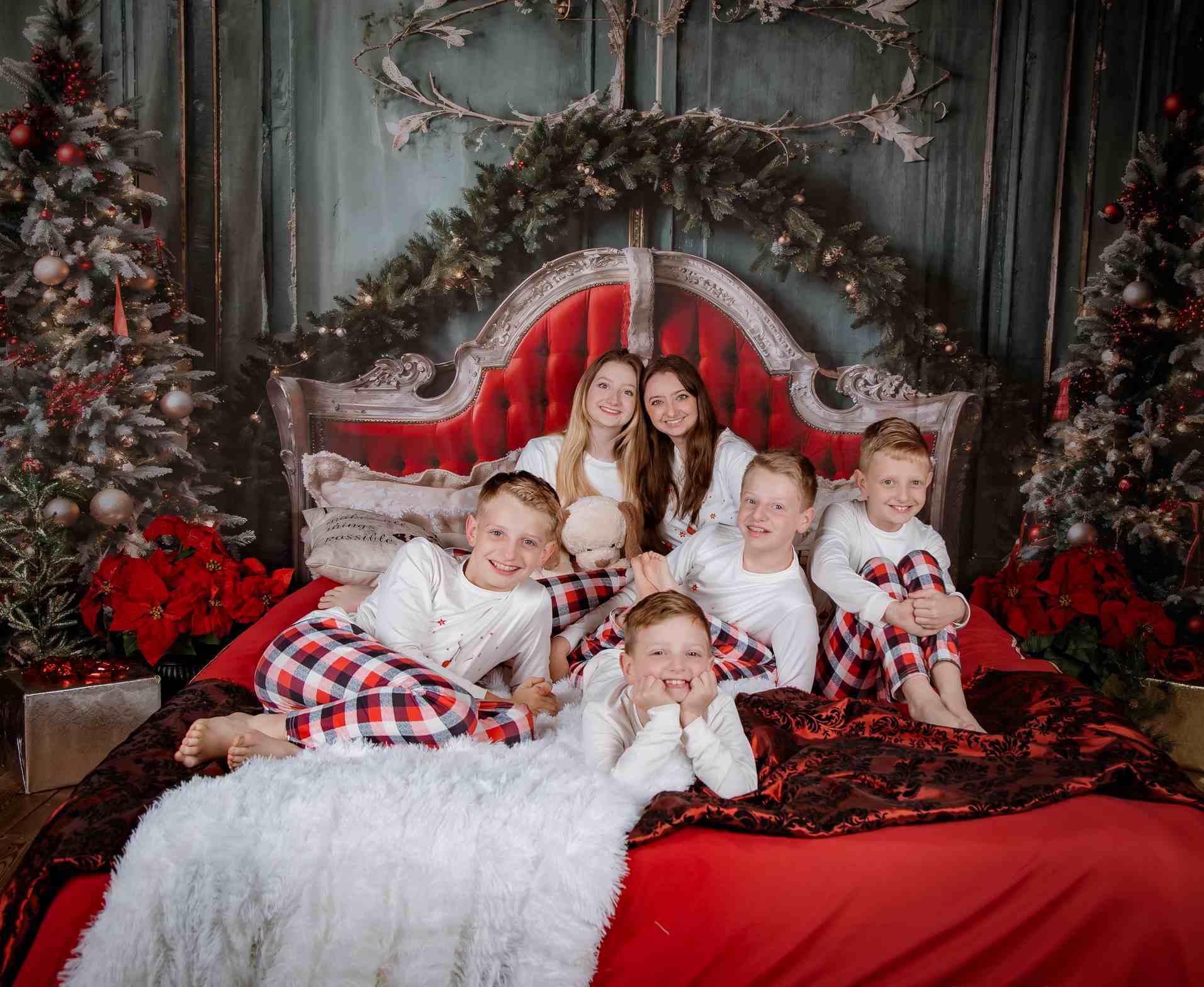 Kate Christmas Red Headboard Green Wall Tree Backdrop Designed by Emetselch - Kate Backdrop AU