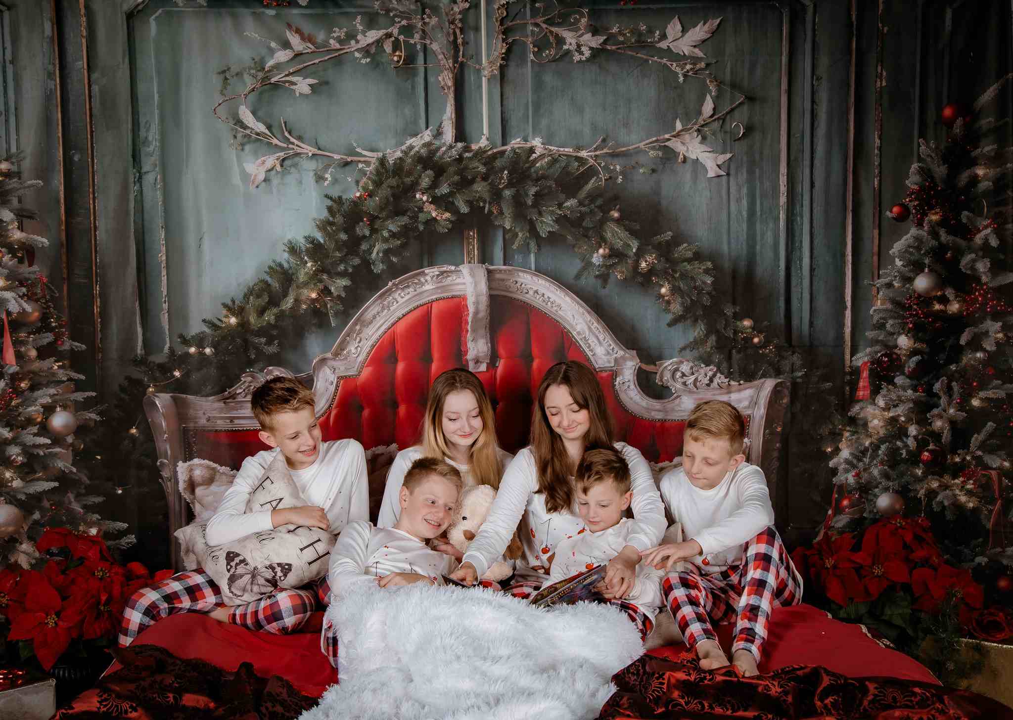 Kate Christmas Red Headboard Green Wall Tree Backdrop Designed by Emetselch - Kate Backdrop AU