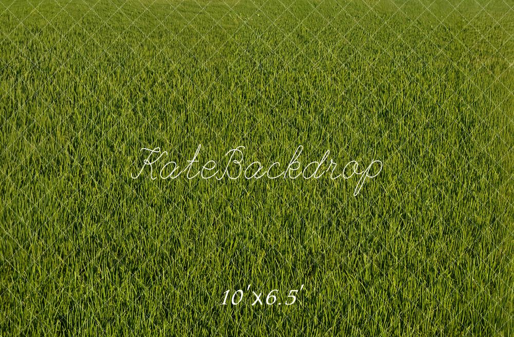 Kate Green Grass Texture Backdrop Designed by Emetselch