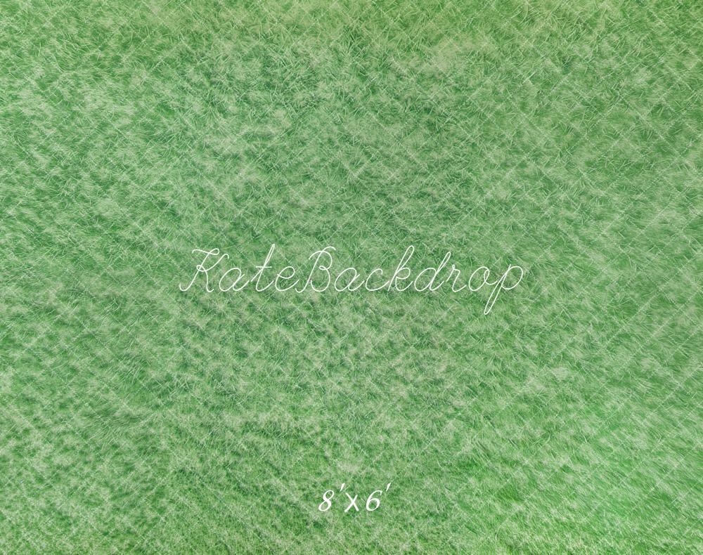 Kate Green Grass Abstract Fleece Backdrop Designed by Kate Image