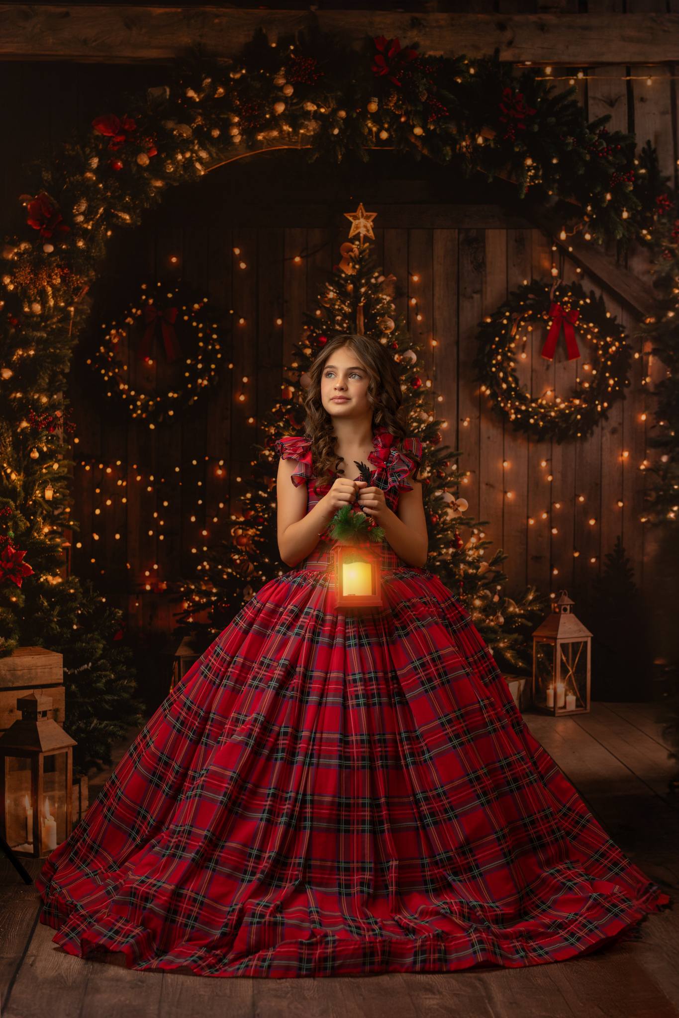 Kate Christmas Backdrop Wooden Arched Barn Door Designed by Chain Photography - Kate Backdrop AU