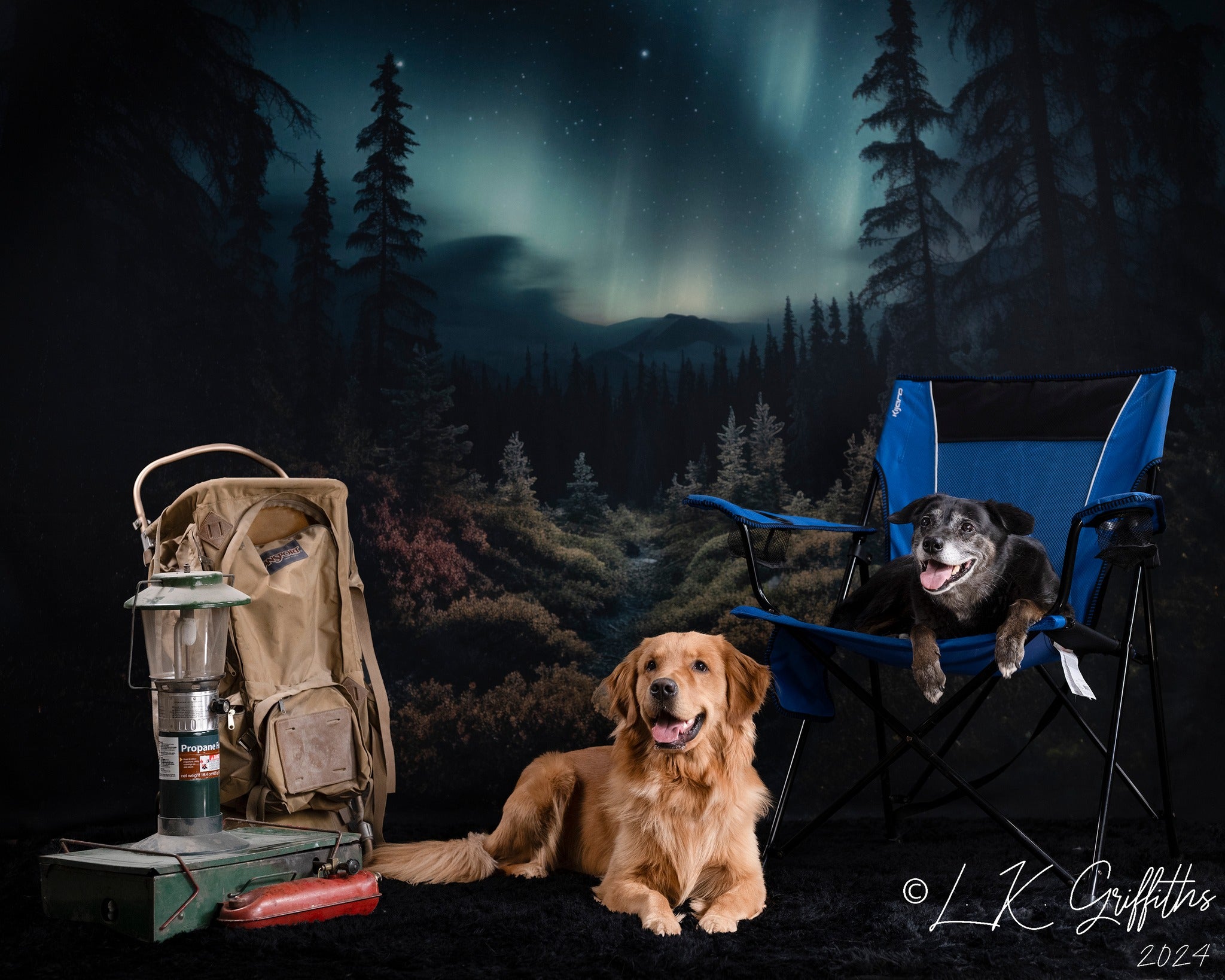 Kate Forest Northern Lights Backdrop Designed by Mandy Ringe Photography - Kate Backdrop AU