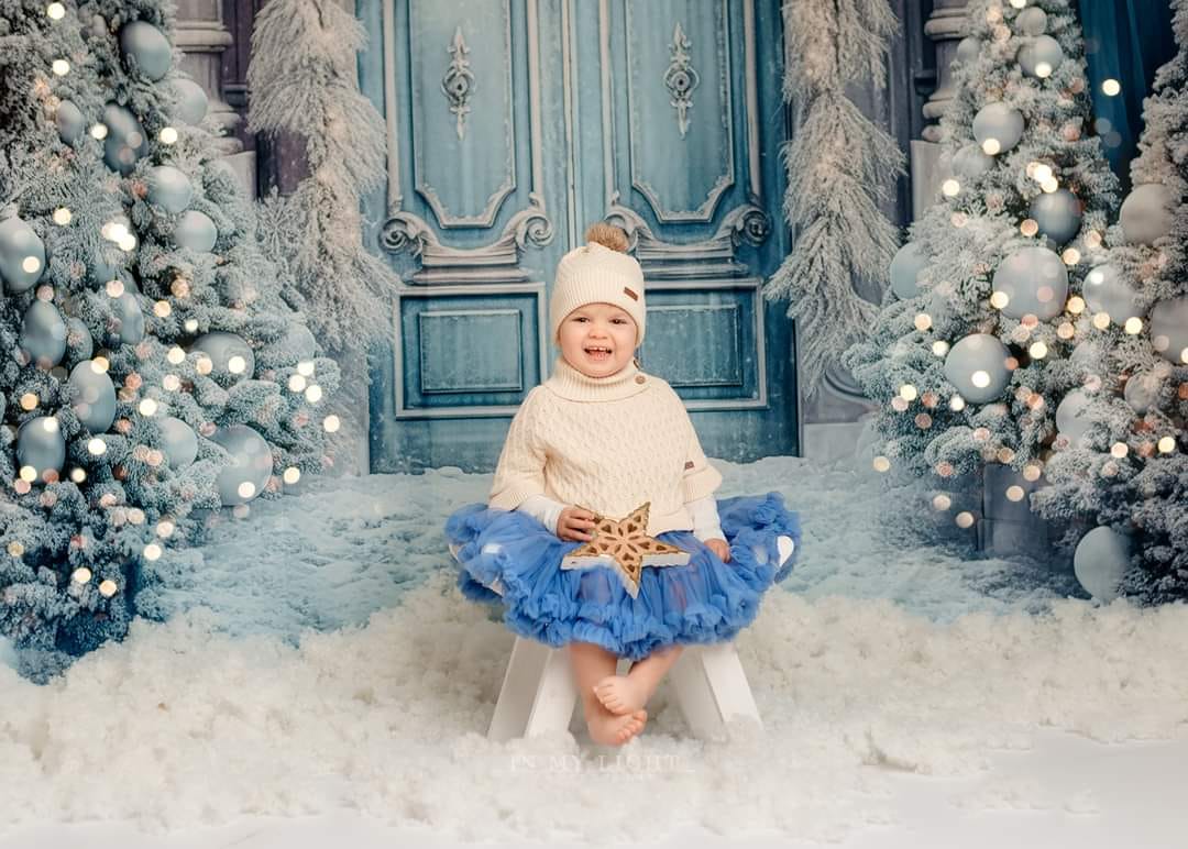 Kate Christmas Winter Backdrop Frosted World Tree Blue Door for Photography - Kate Backdrop AU