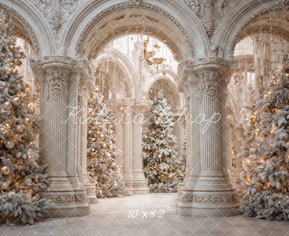 Kate Christmas Snowy Trees Ornate Archway Backdrop Designed by Ashley Paul
