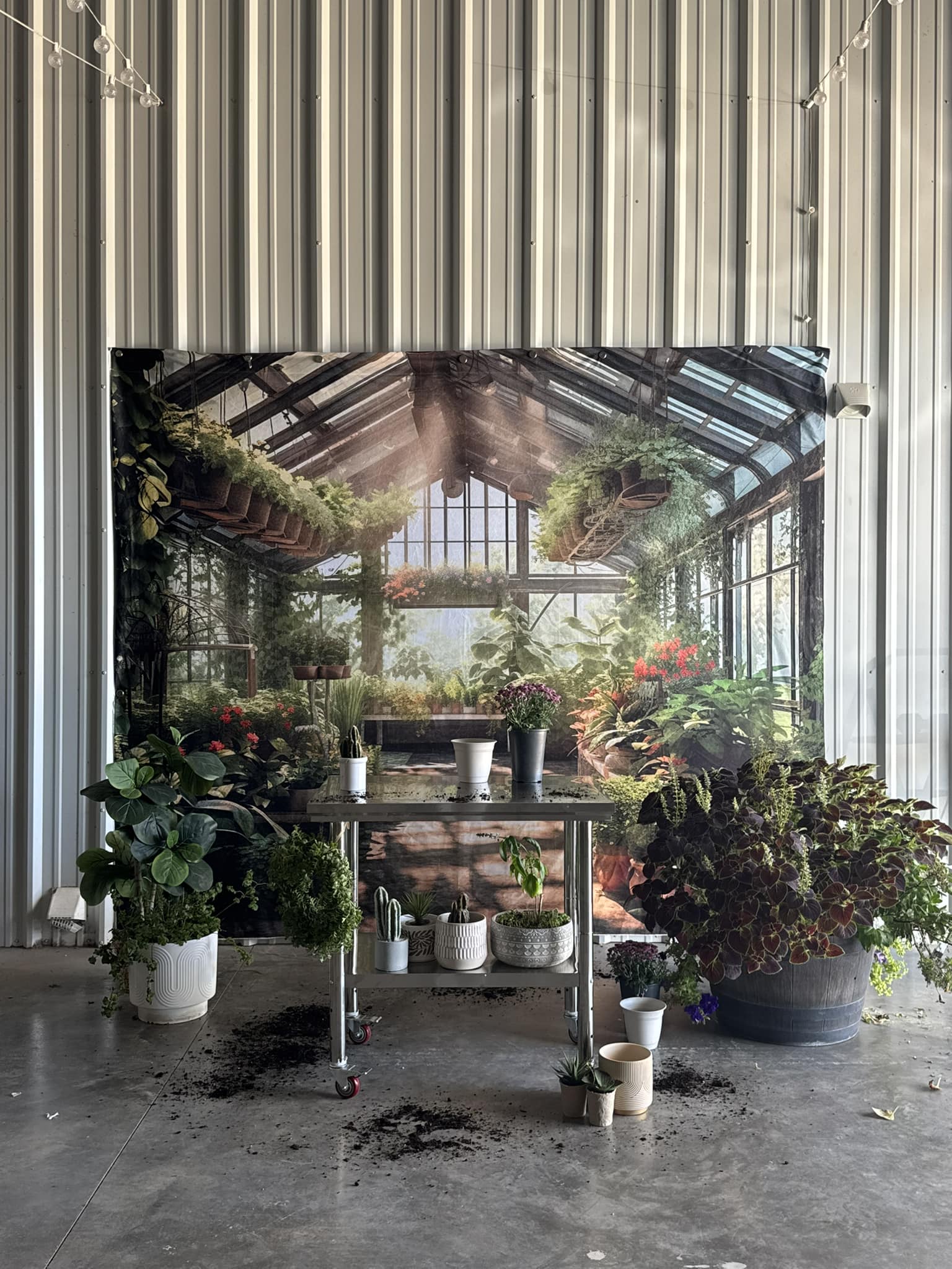 Kate Spring Greenhouse Backdrop Designed by Abbas Studio - Kate Backdrop AU