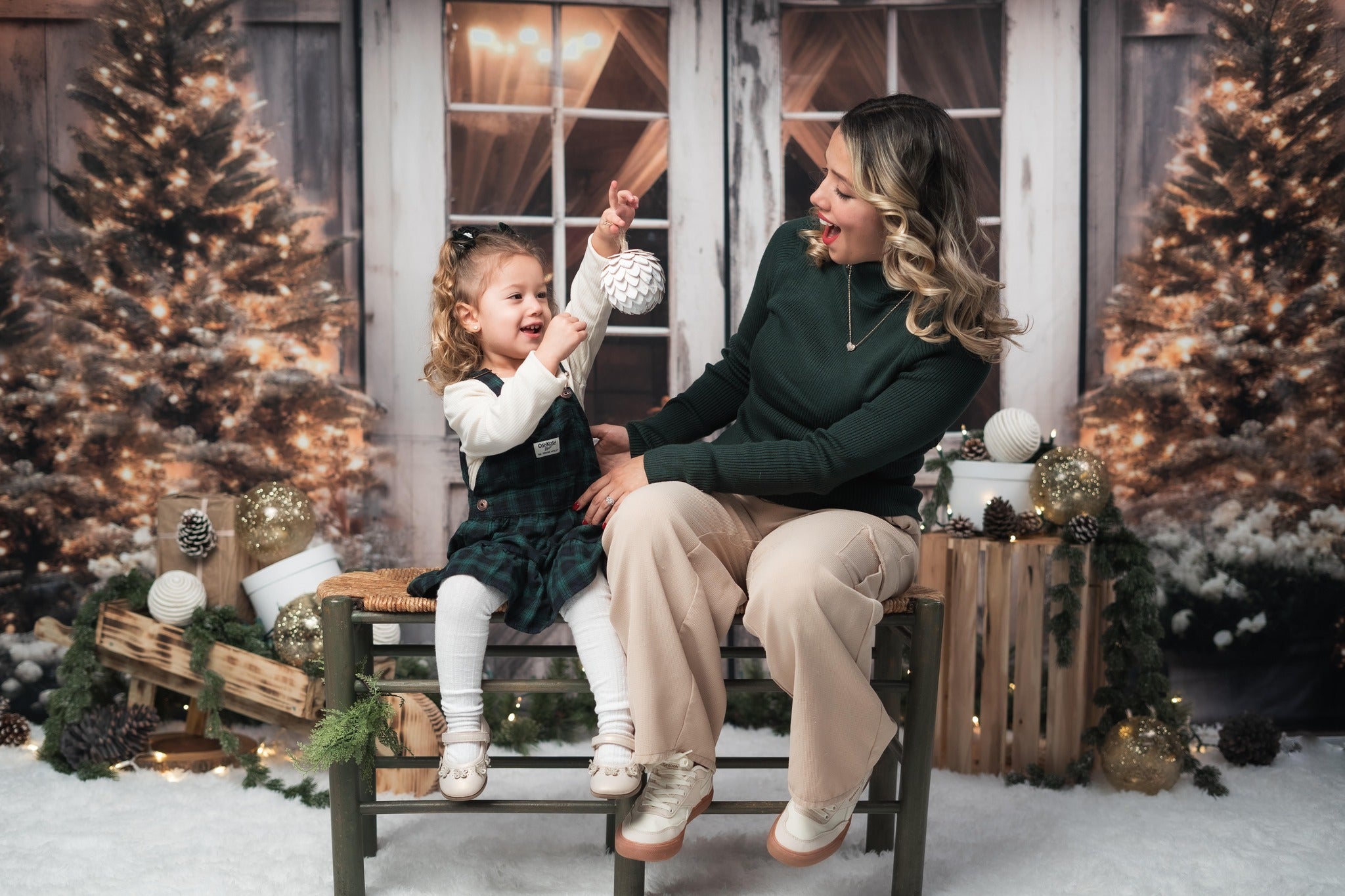 Kate Christmas Barn with Lights and Christmas Tree Backdrop Designed by Emetselch - Kate Backdrop AU