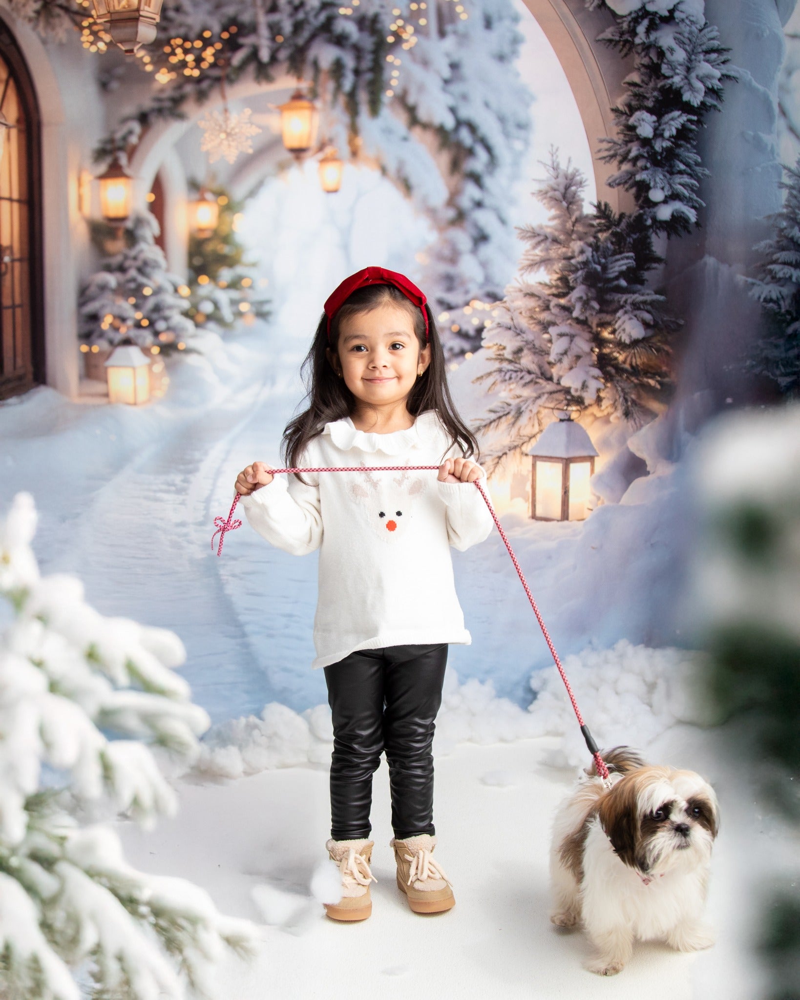 Kate Christmas Winter Snow Arch Backdrop Designed by Emetselch - Kate Backdrop AU