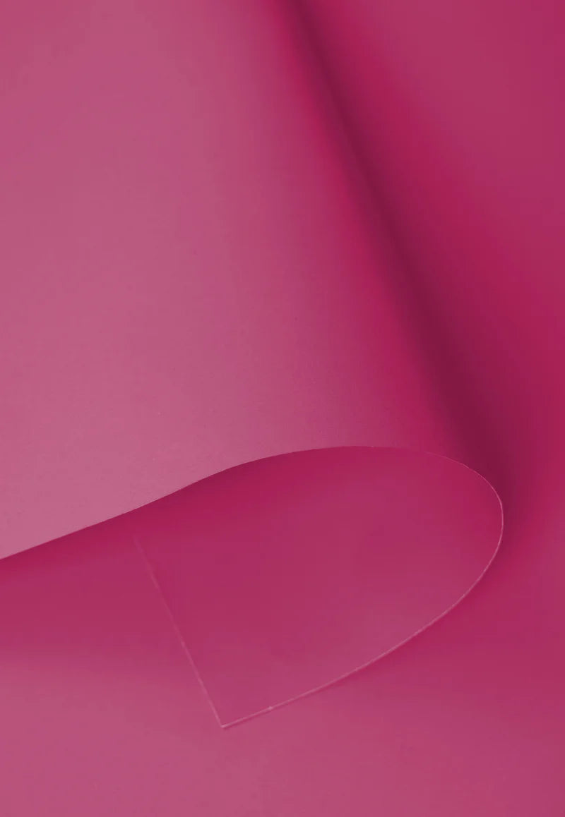Kate Light Pink Seamless Paper Backdrop for Photography