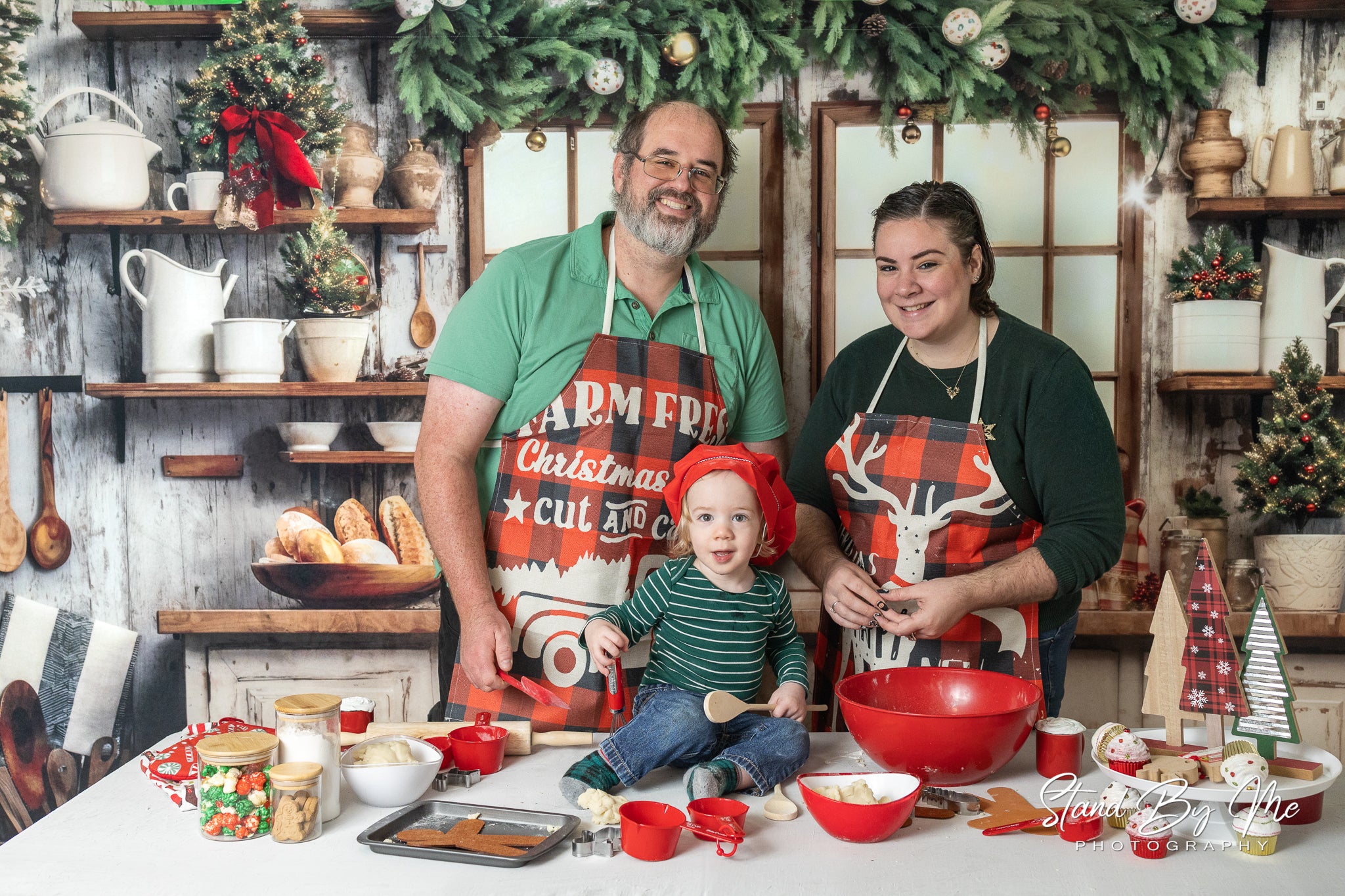 Kate White Christmas Kitchen Backdrop Designed by Emetselch - Kate Backdrop AU