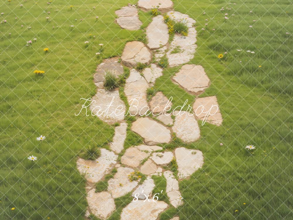 Kate Stone Path Grass Daisies Backdrop Designed by Emetselch