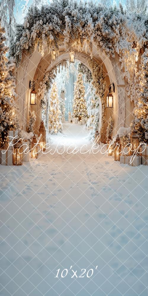 Kate Christmas Snowy Arch Backdrop Designed by Emetselch - Kate Backdrop AU