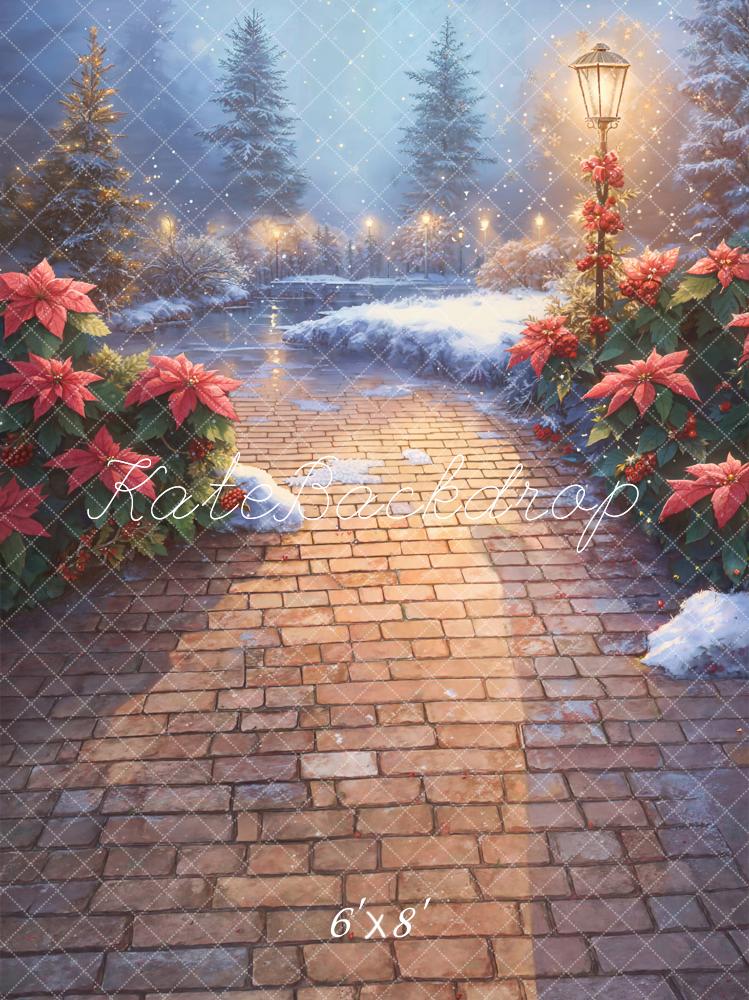Kate Christmas Poinsettia Snowy Path Fleece Backdrop Designed by Kate Image - Kate Backdrop AU