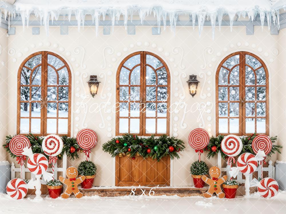 Kate Christmas Gingerbread Candy Fleece Backdrop Designed by Chain