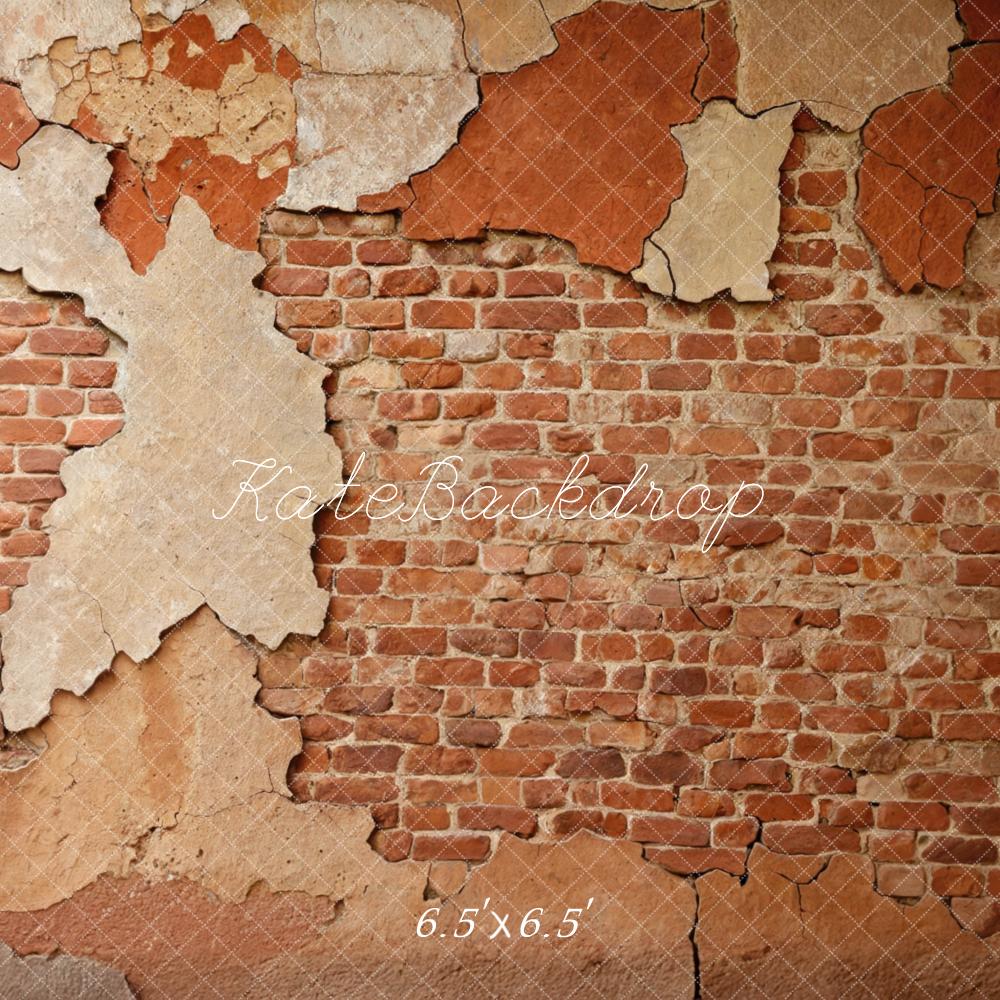 Kate Vintage Wall Exposed Brick Backdrop Designed by Mini MakeBelieve