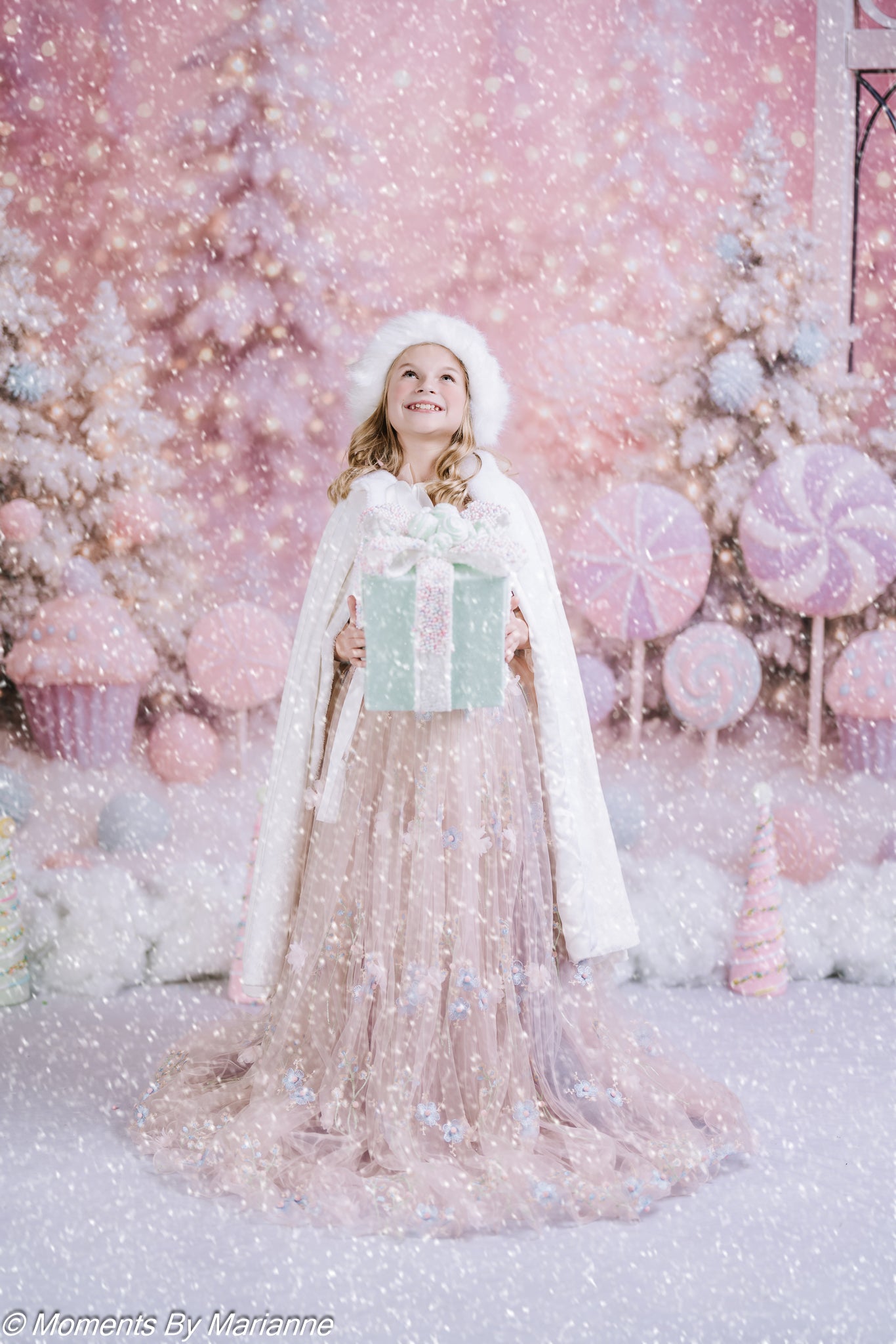 Kate Christmas Candyland Frosted Trees Backdrop Designed by Ashley Paul - Kate Backdrop AU