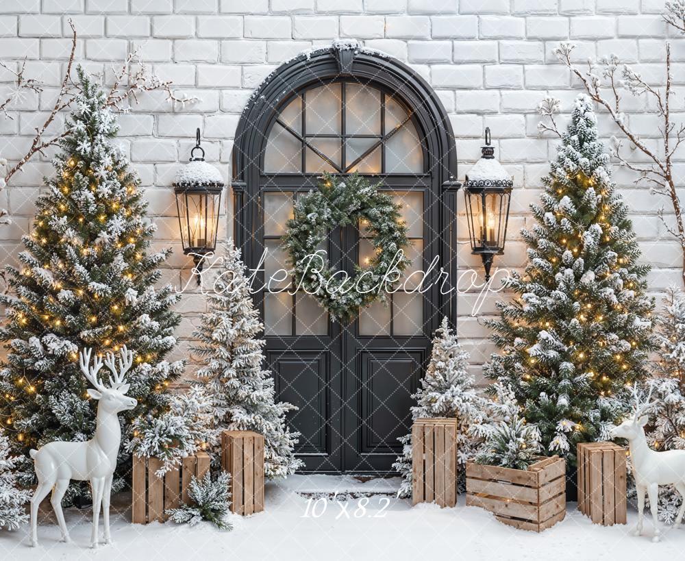 Kate Christmas Snowy Door Reindeer Fleece Backdrop Designed by Emetselch
