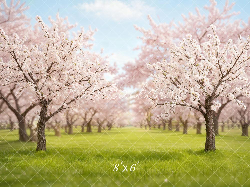 Kate Spring Cherry Blossom Backdrop Designed by Emetselch