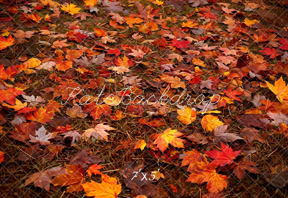 Kate Autumn Leaves Ground Backdrop Designed by Kate Image