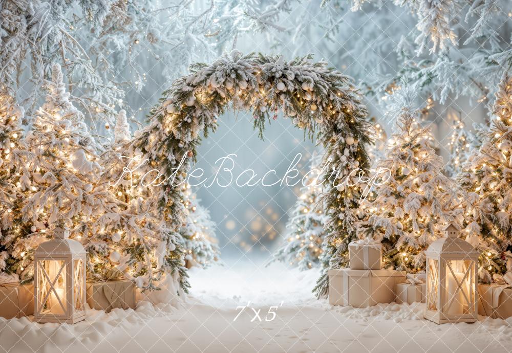 Kate Christmas Snowy Arch Winter Backdrop Designed by Emetselch - Kate Backdrop AU