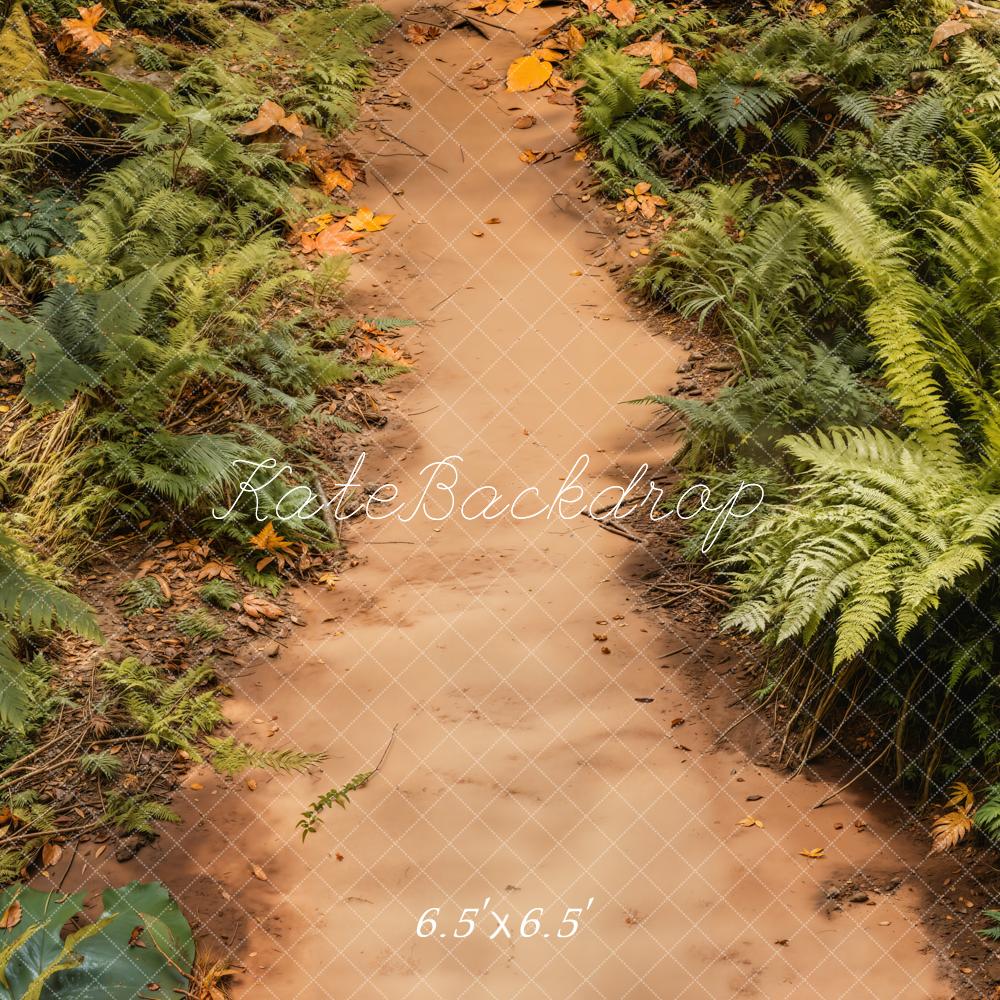 Kate Forest Ferns Dirt Path Backdrop Designed by Emetselch - Kate Backdrop AU