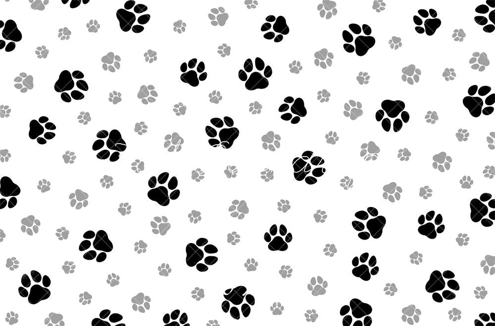 Kate Animal Paw Prints Pattern Backdrop Designed by Mandy Ringe - Kate Backdrop AU