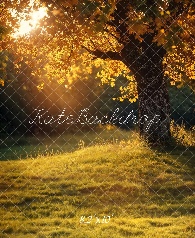 Kate Autumn Tree Sunlit Meadow Backdrop Designed by Chain