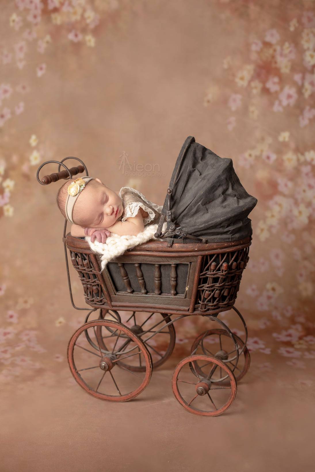 Kate Brown Shivering Flower Background Cotton Backdrop For Children - Kate Backdrop AU